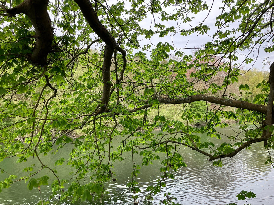 GG Wildlife Experiences Ltd-Goring-on Thames必去景点