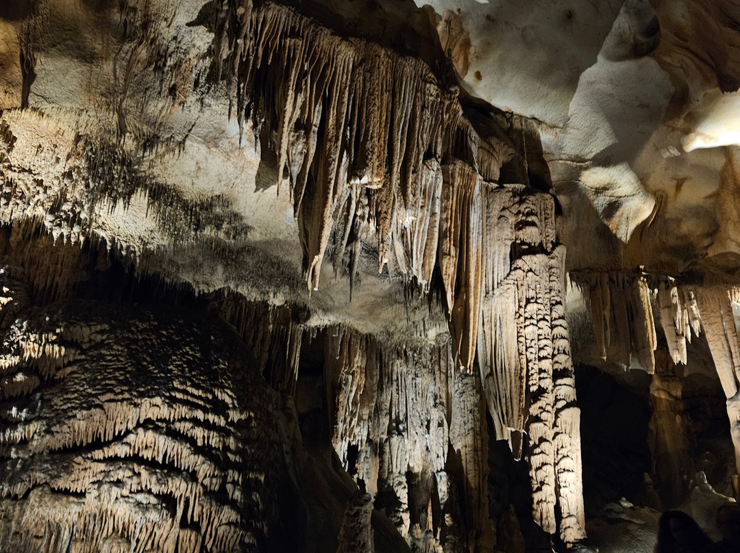 Grotte Saint-Marcel-Bidon必去景点