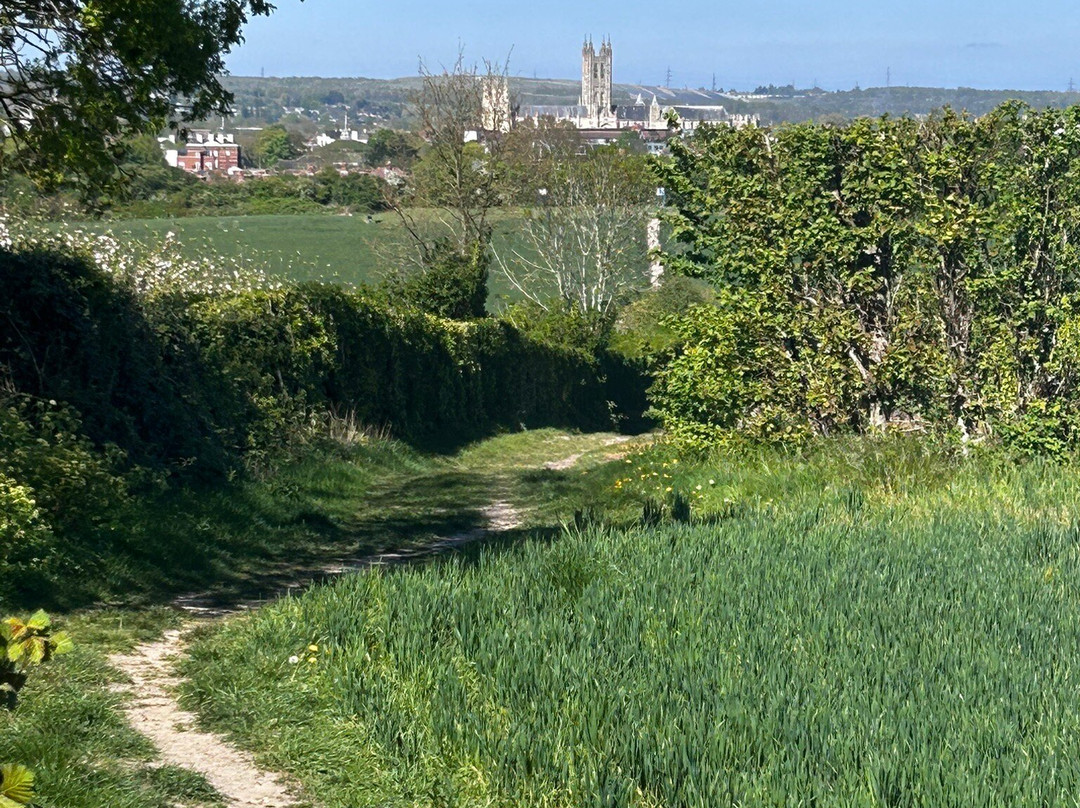 Canterbury Cathedral Panoramic Viewpoint-坎特伯雷必去景点