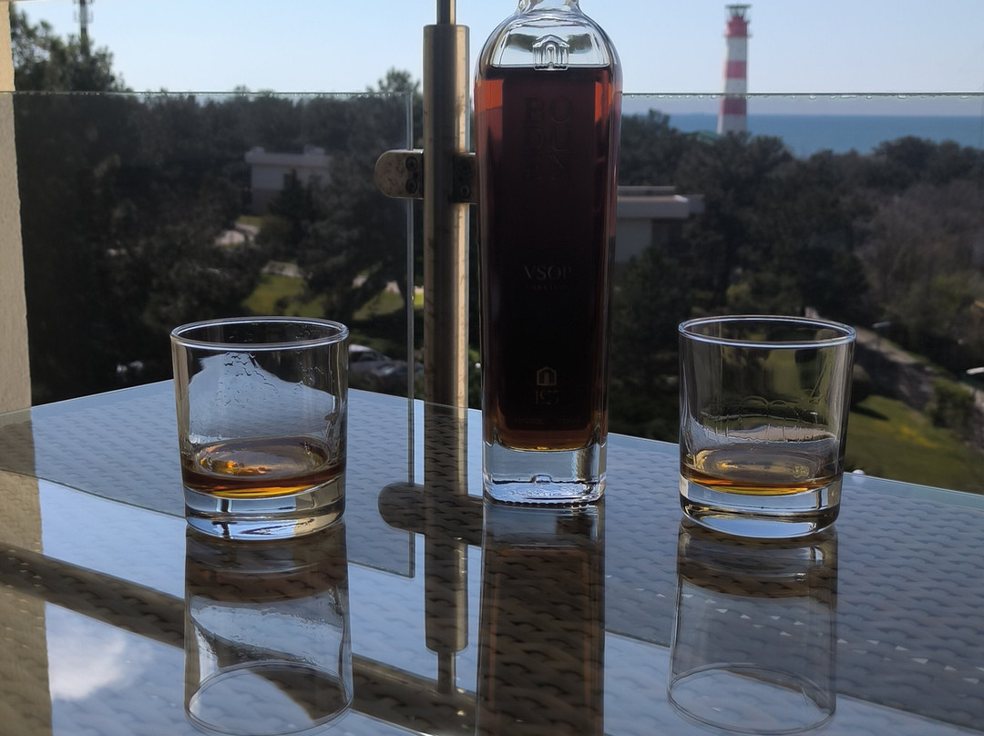 格连吉克大都会酒店主图