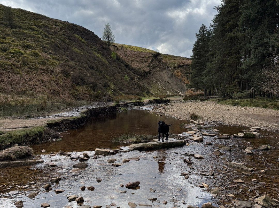 Langsett Reservoir-Langsett必去景点