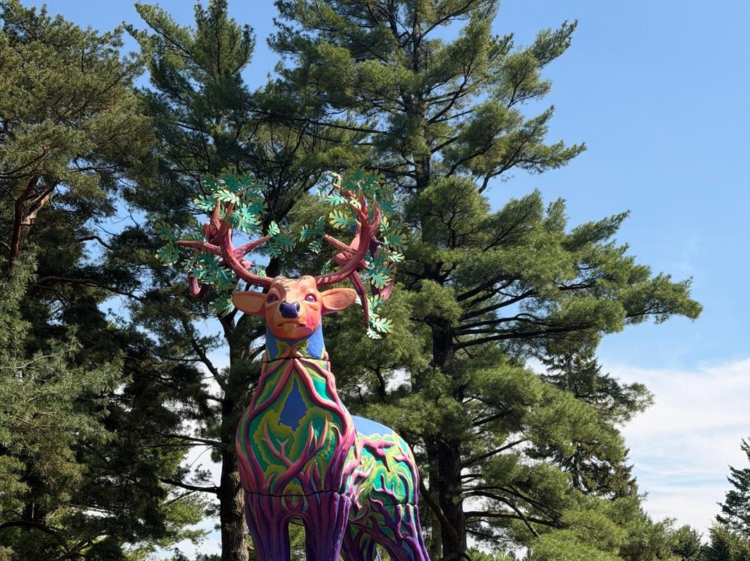 Morton Arboretum-Lisle必去景点