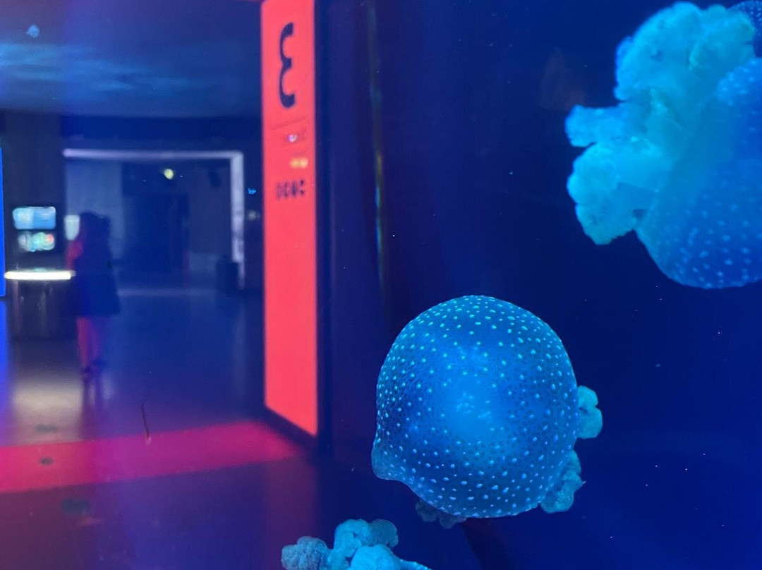 丹麦国家水族馆-哥本哈根必去景点