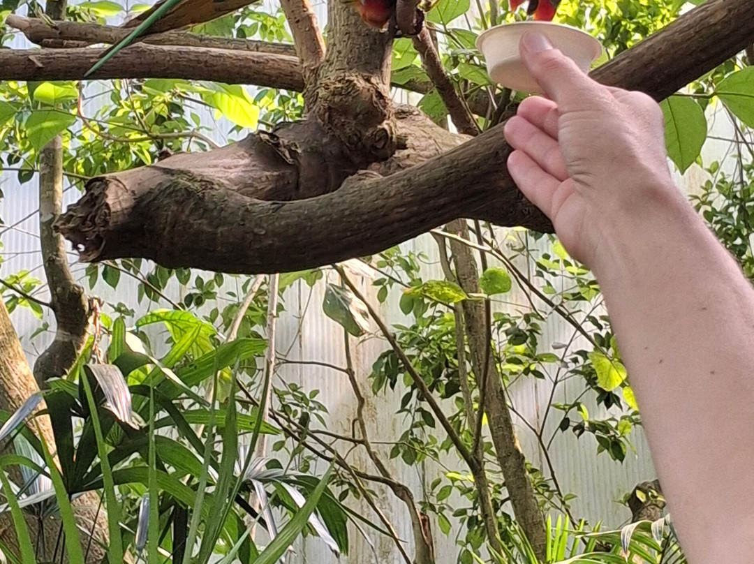 Wildlands Adventure Zoo Emmen-Emmen必去景点