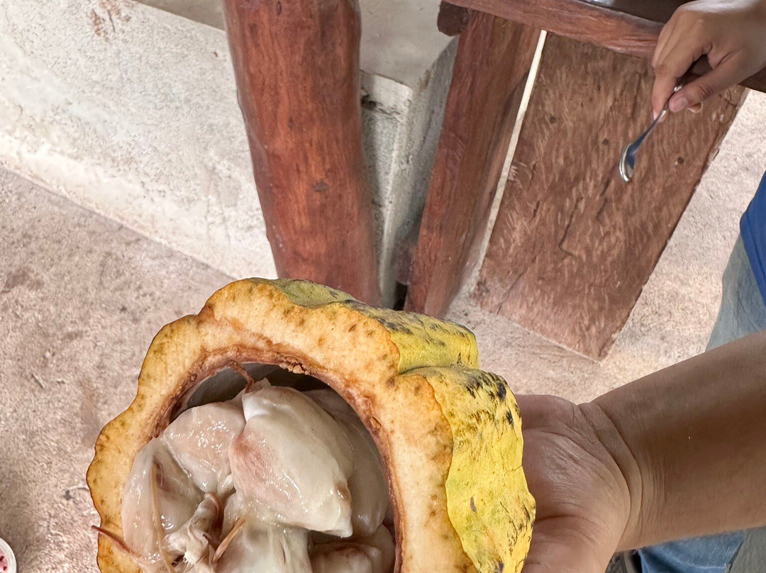 Cafe & Cacao Tour Bijagua-Bijagua de Upala必去景点