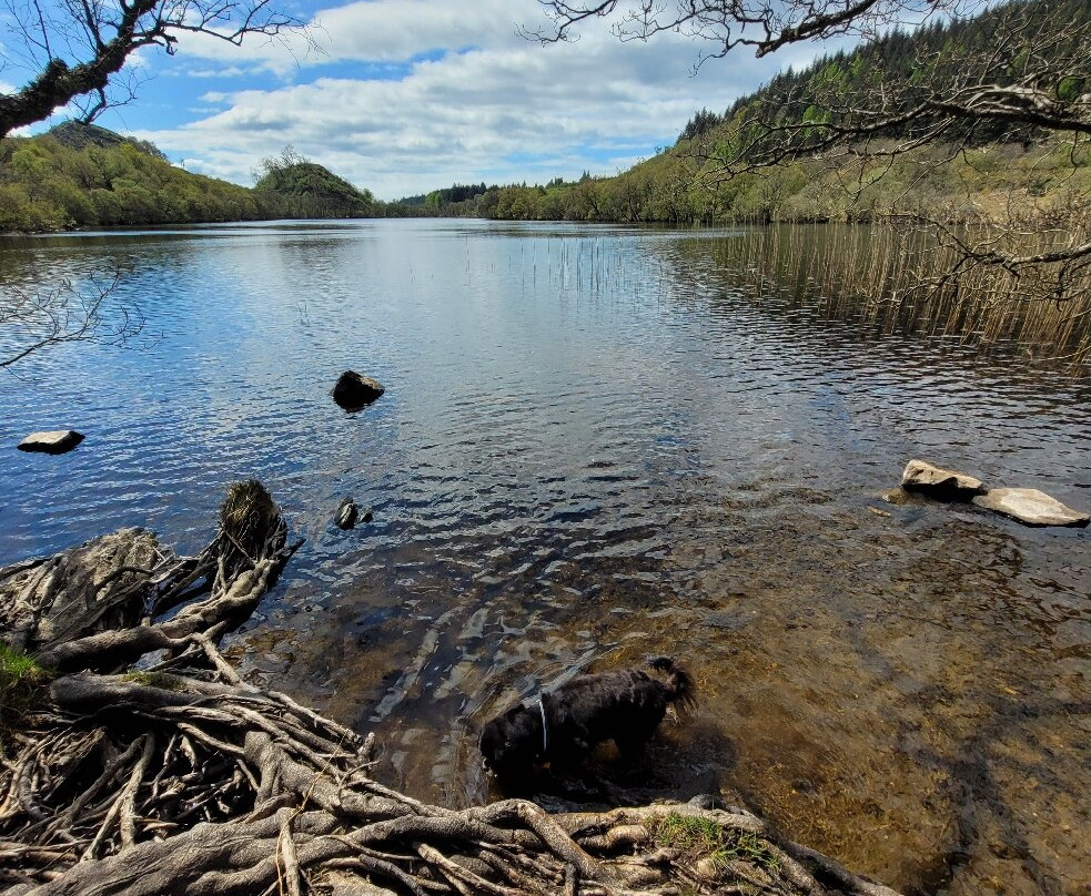 Argyll Beaver Centre-Lochgilphead必去景点