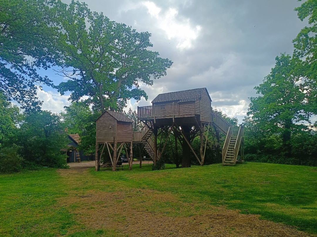 Oakside Lodge Guest House主图