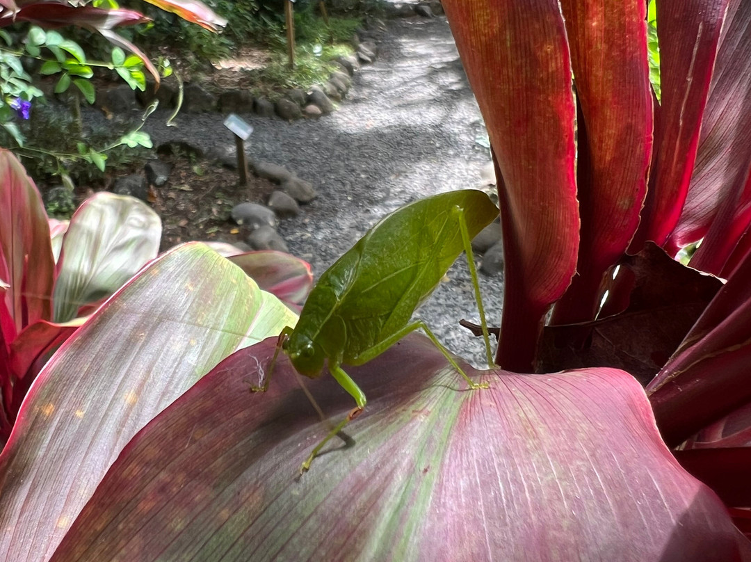 Jardin Botanique de Valombreuse-Petit-Bourg必去景点