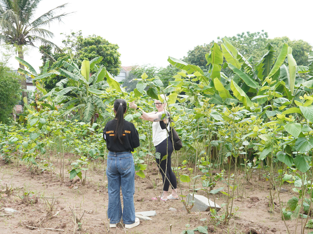 Silk Farm Bến Giá-宁平必去景点