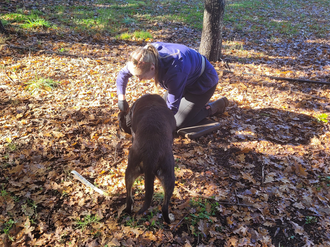 The Truffle Farm Tasmania-德洛兰恩必去景点