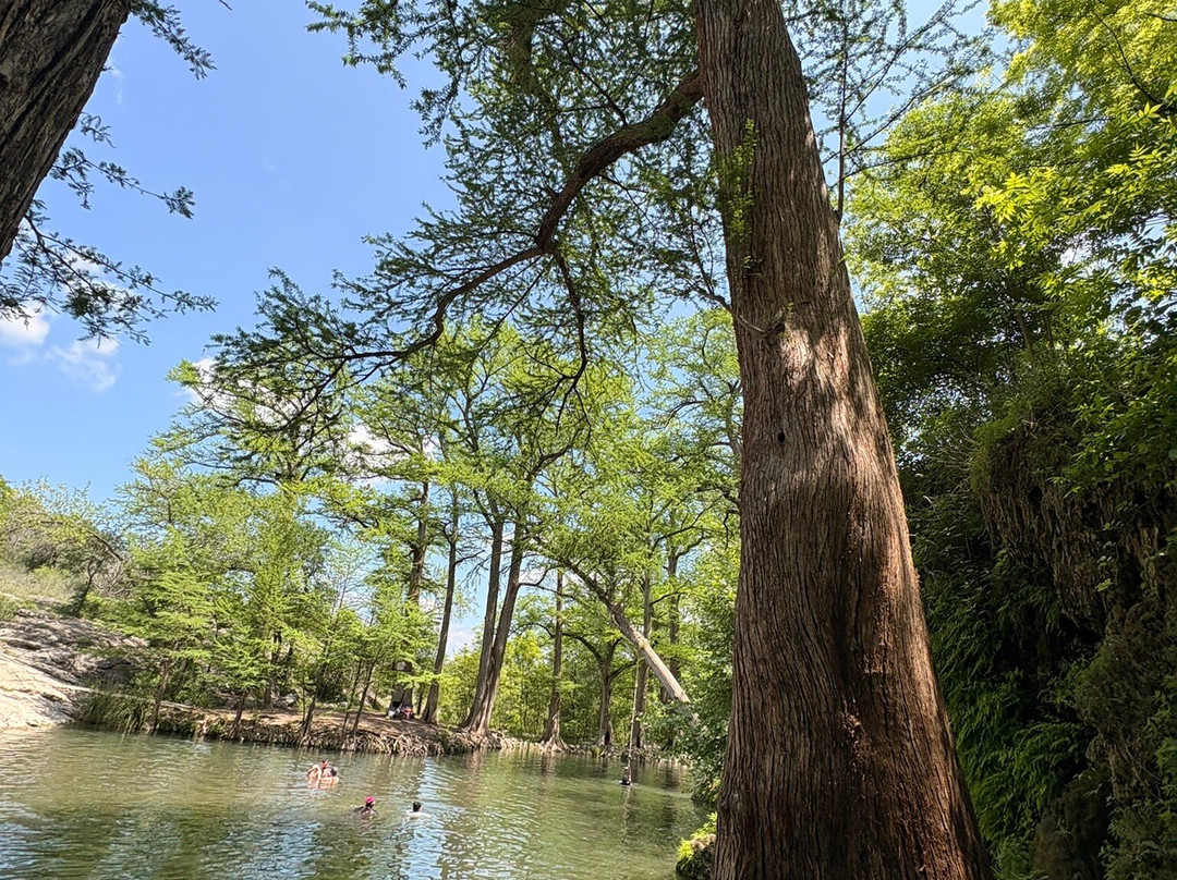 Krause Springs-Spicewood必去景点