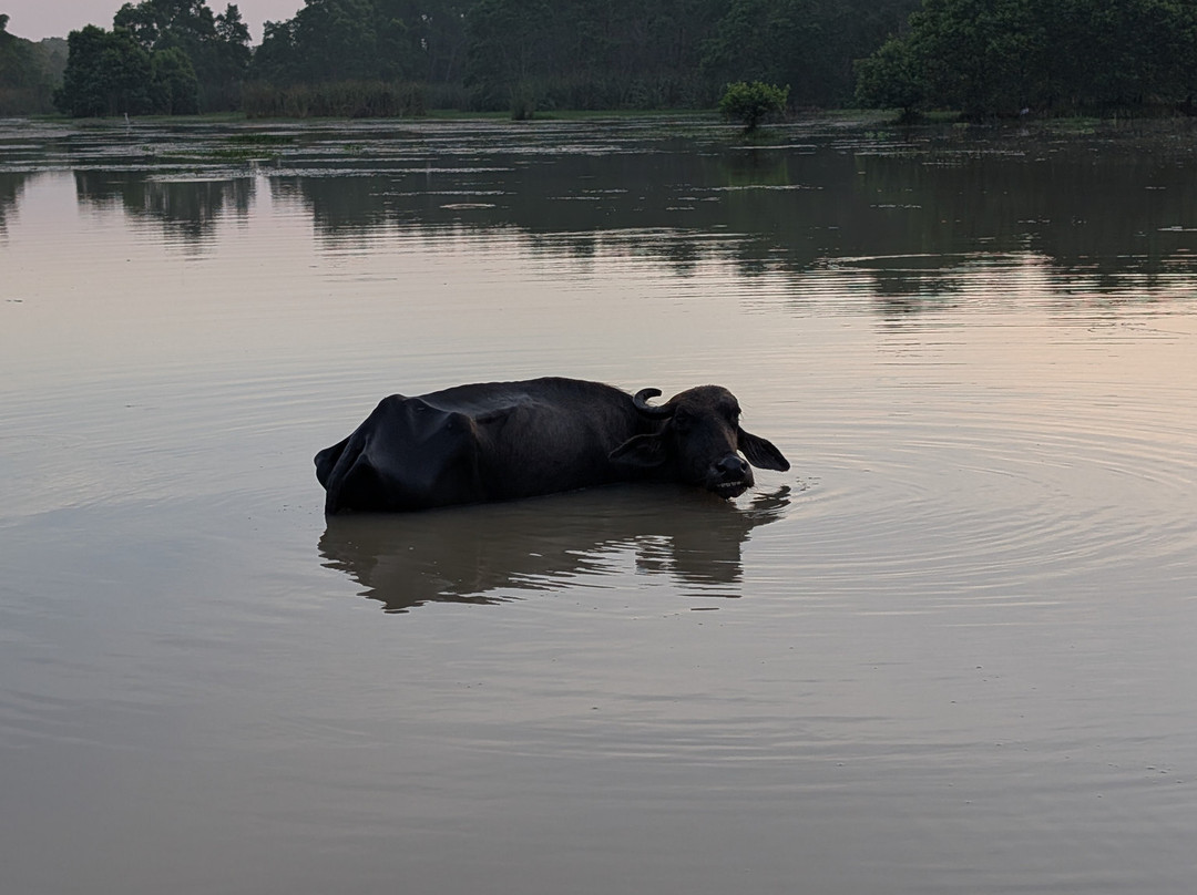 Wildlife Wonders Sri Lanka-唐卡拉必去景点