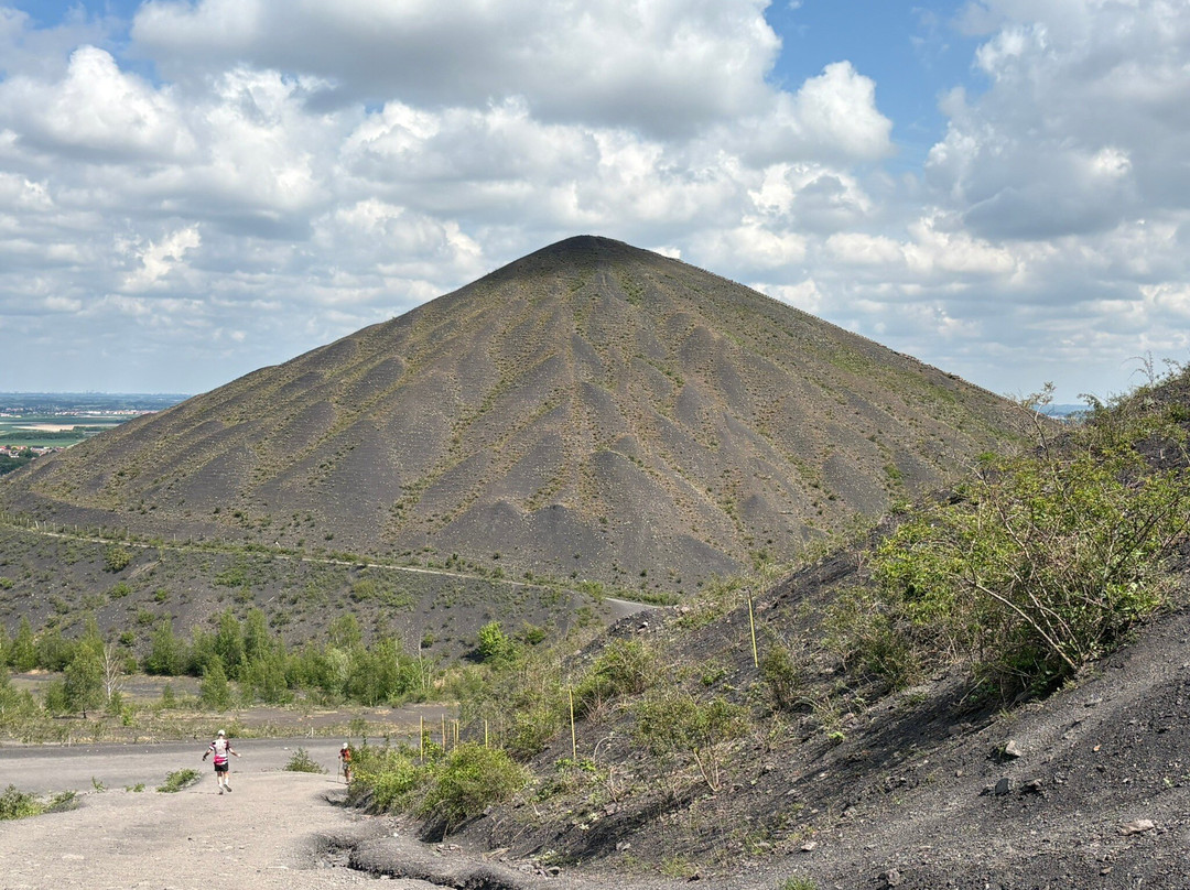 Terril De Loos En Gohelle-Loos en Gohelle必去景点