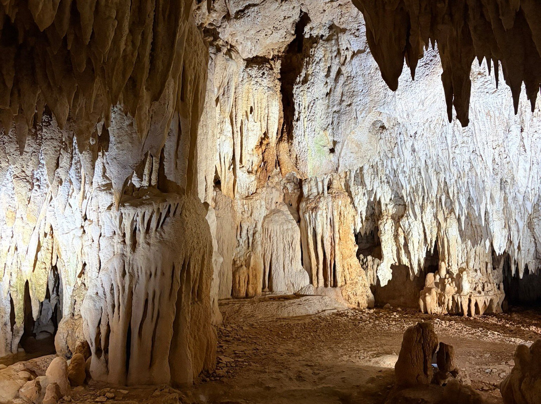 Joe Tourist Outdoor Adventures-乔治城必去景点
