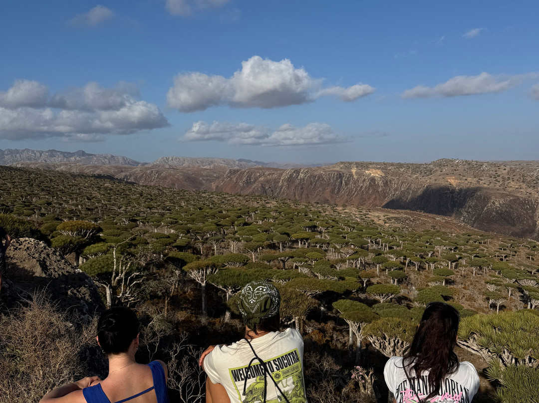 WelcomeToSocotra-索科特拉岛必去景点