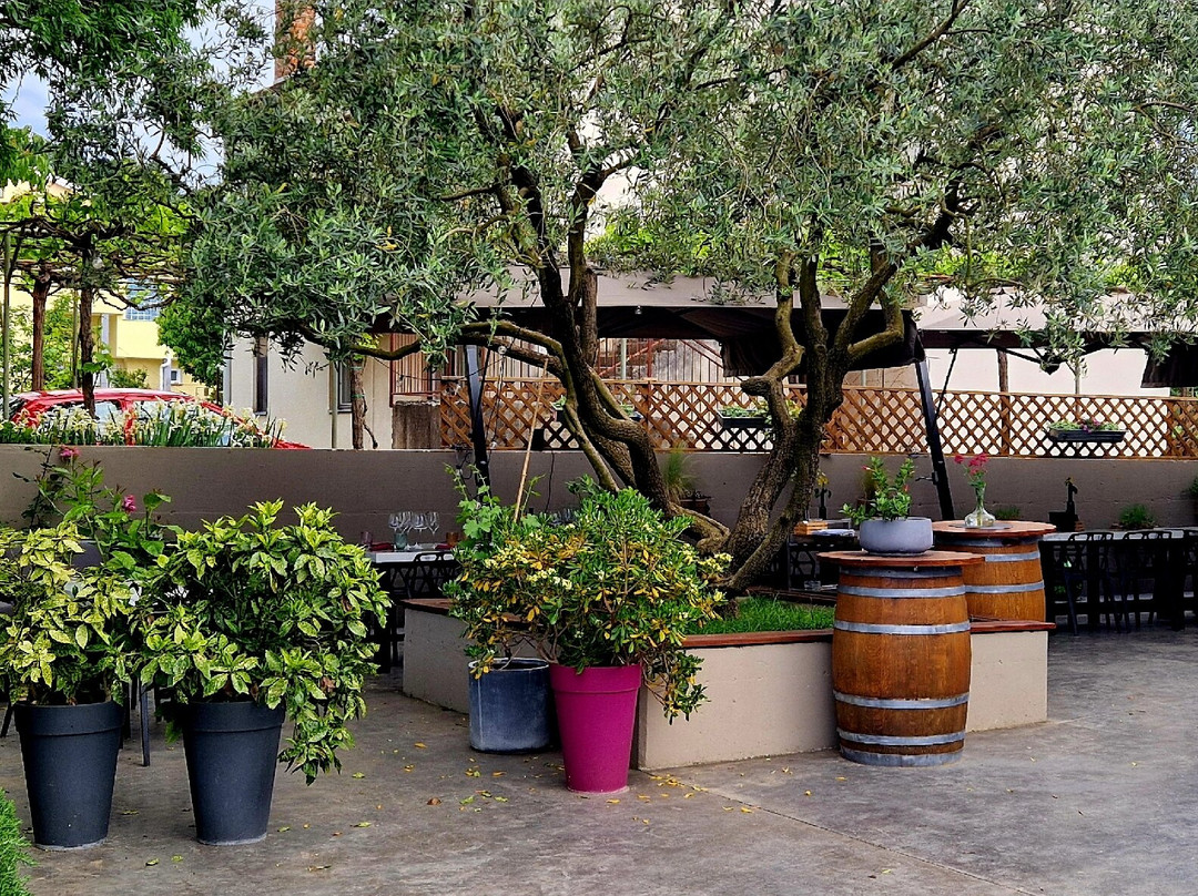 Benazic Winery-普拉必去景点