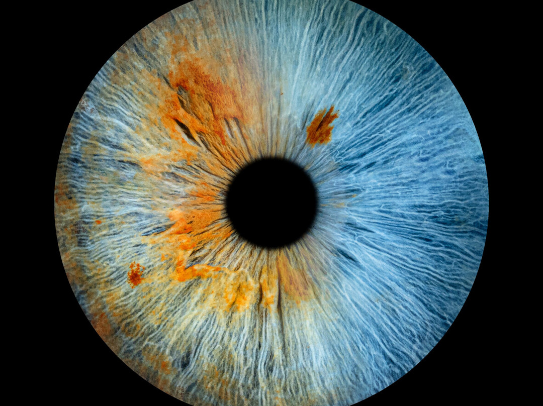 Iris Galerie Groningen