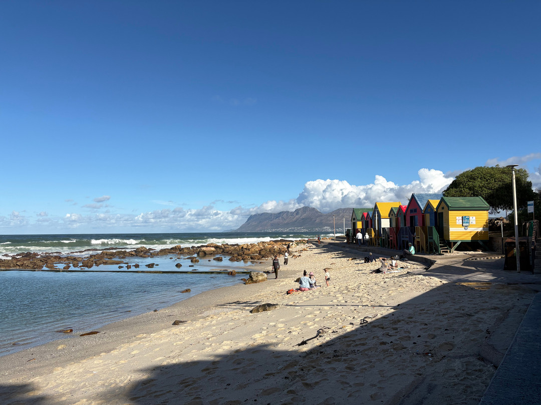 Beyond Africa Safaris & Tours-开普敦中心区必去景点