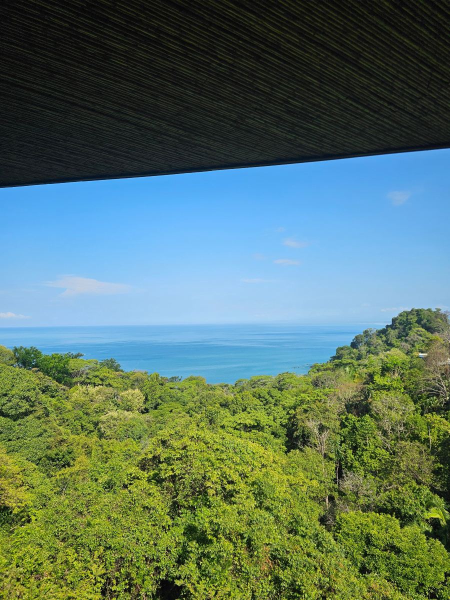 洛斯奥托斯度假村-旅行者