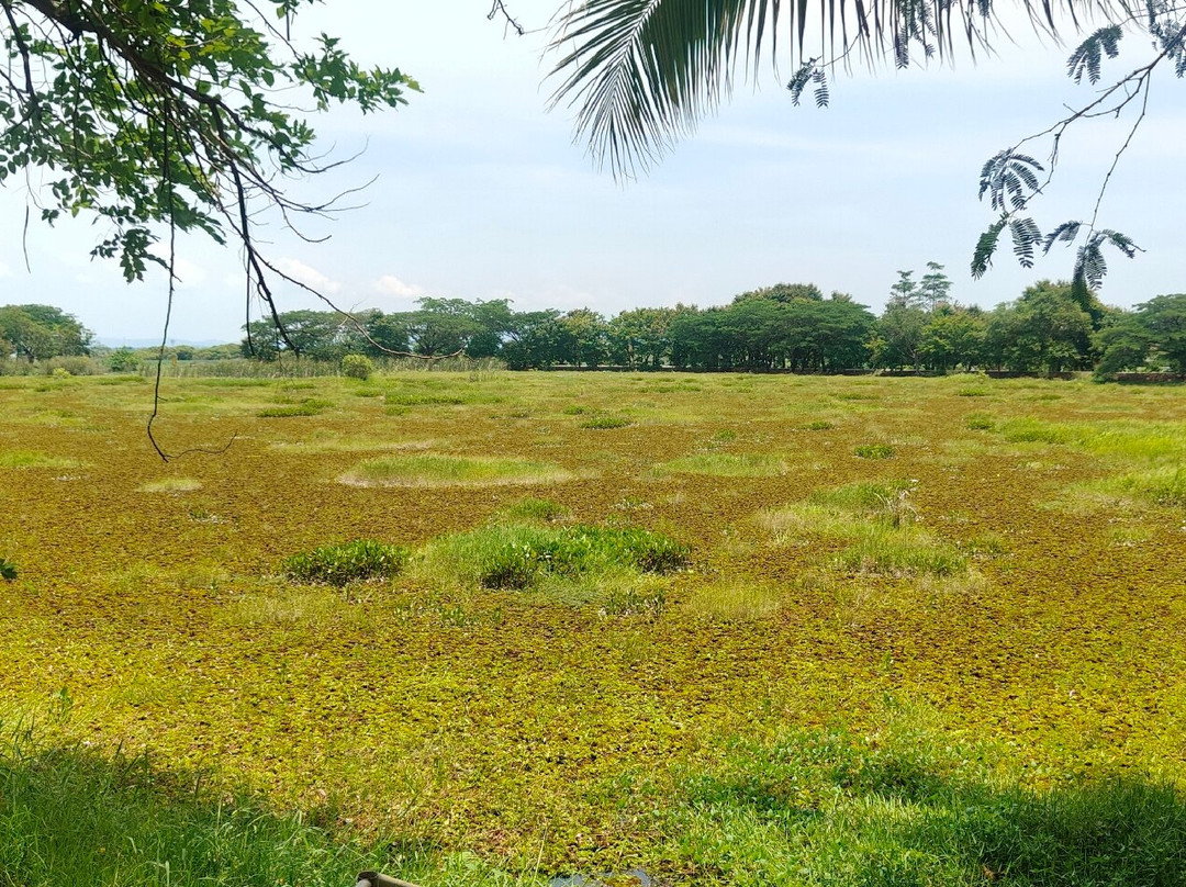 Nong Han Chaloem Phra Kiat Park-沙功那空必去景点