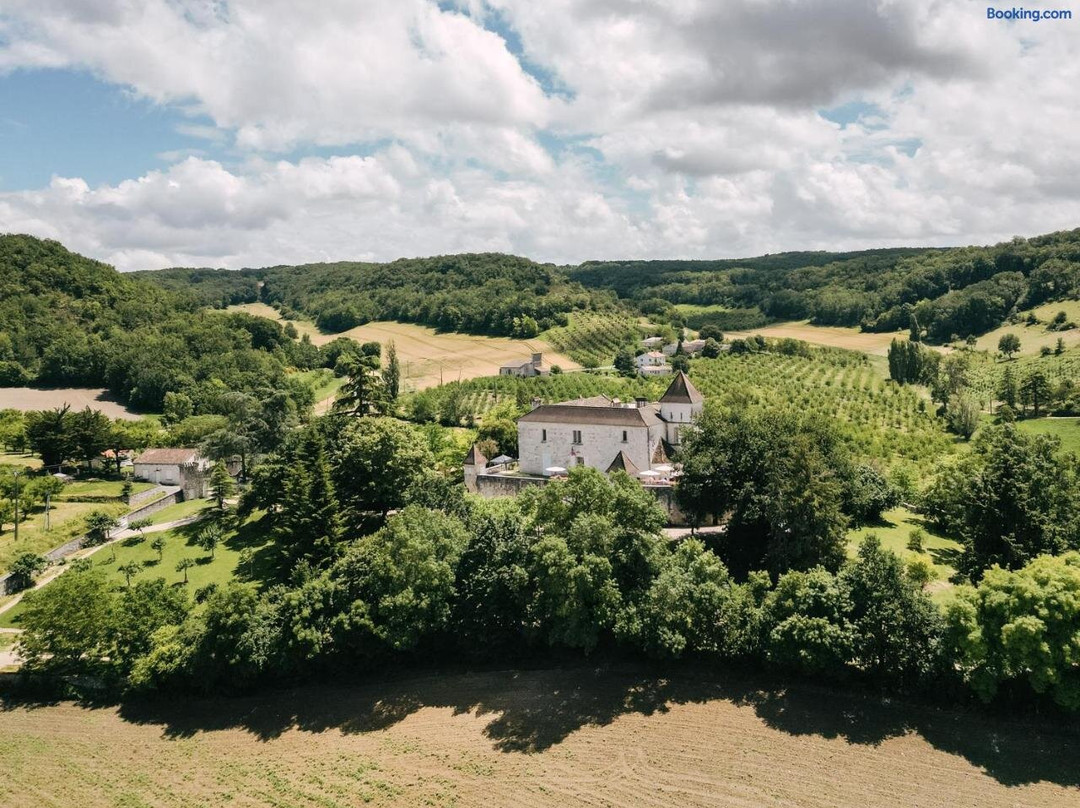 Chateau de Lamothe d'Anthe