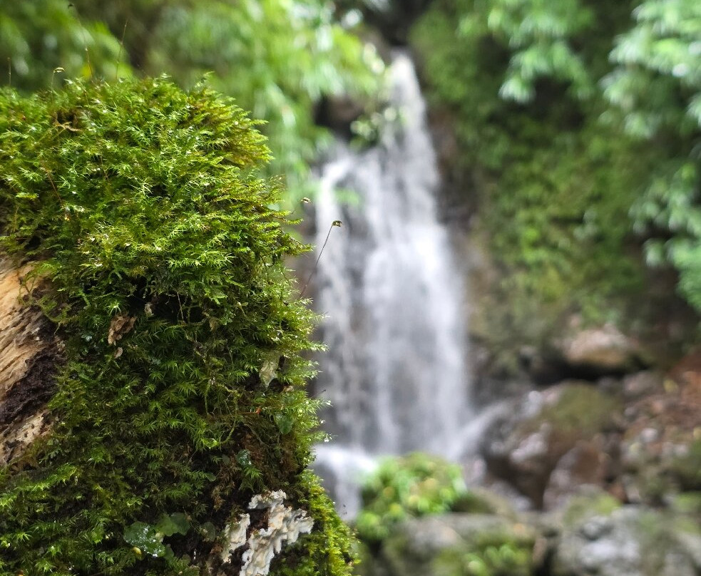 Vallé Advenature Park-Chamouny必去景点