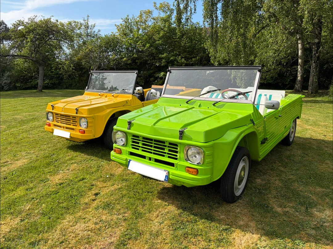 Alex Car Team