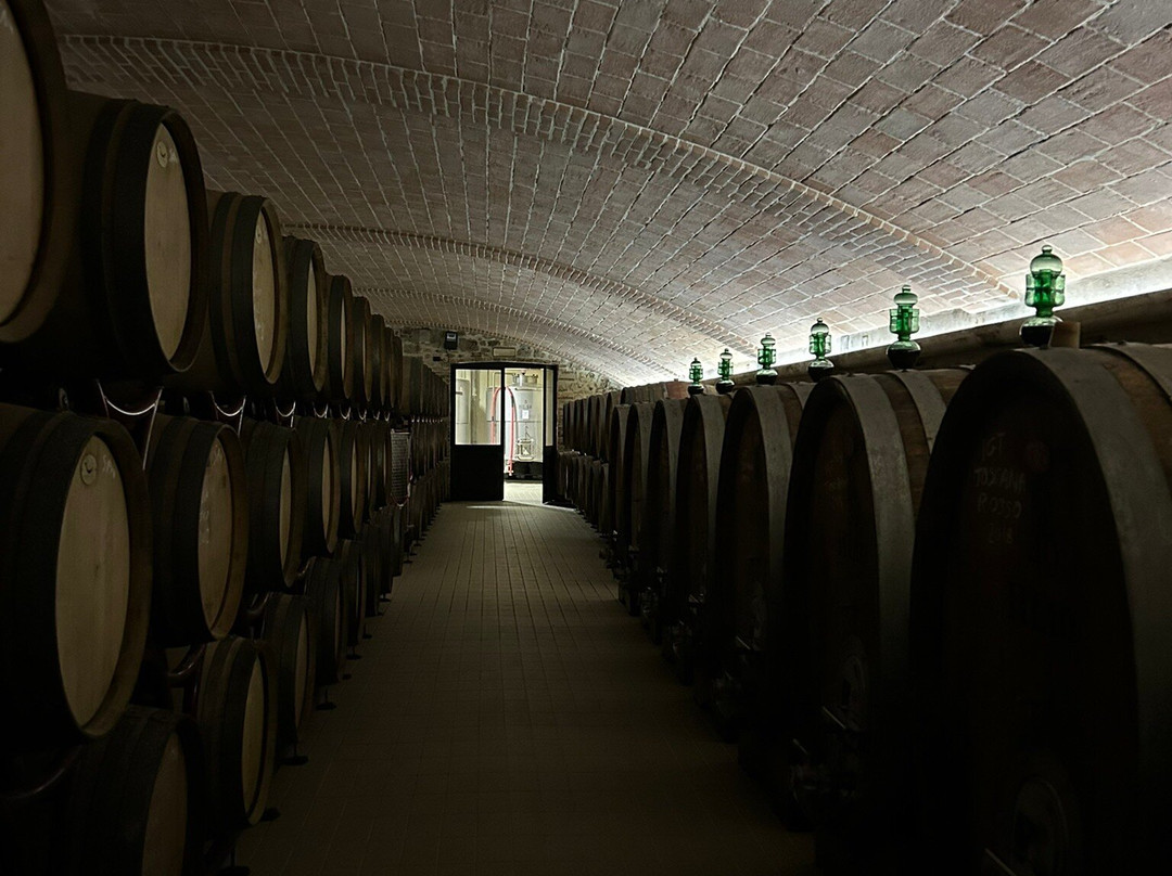 Olivi Le Buche Winery-Sarteano必去景点