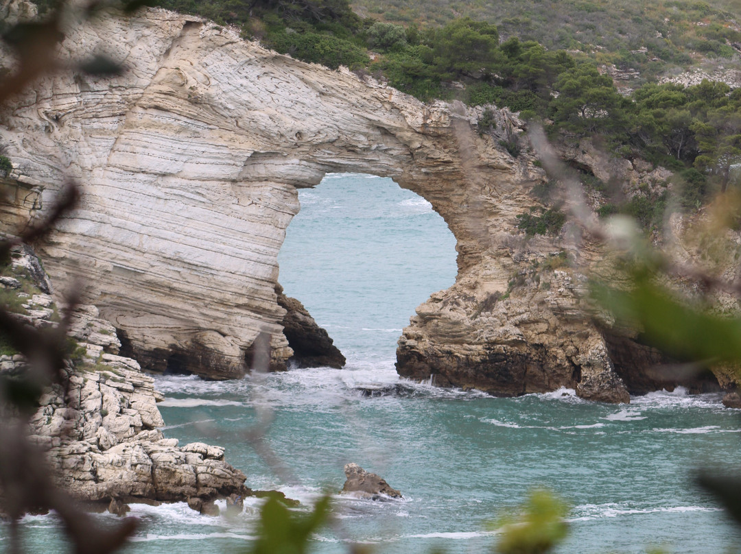 Arco di San Felice-维耶斯泰必去景点