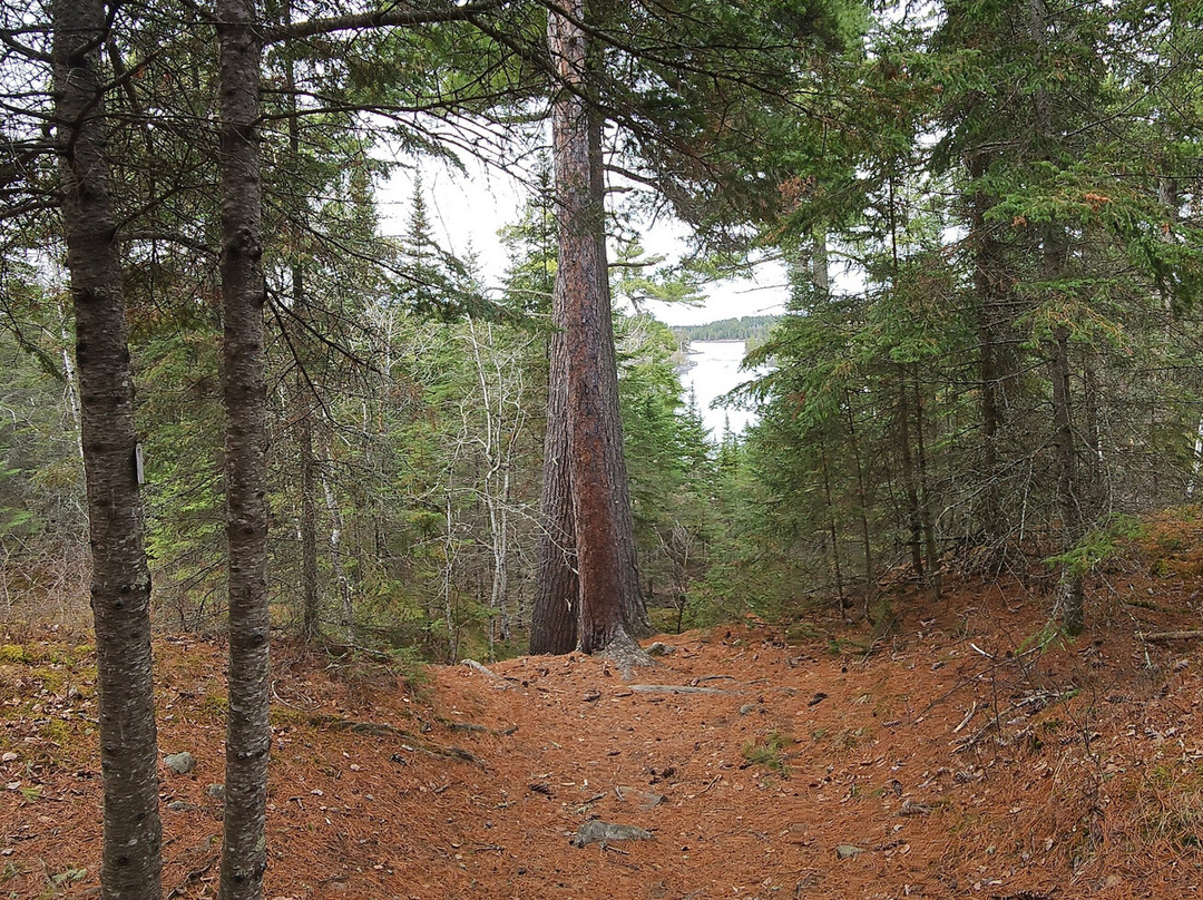 Tunnel Island Trail-凯诺拉必去景点