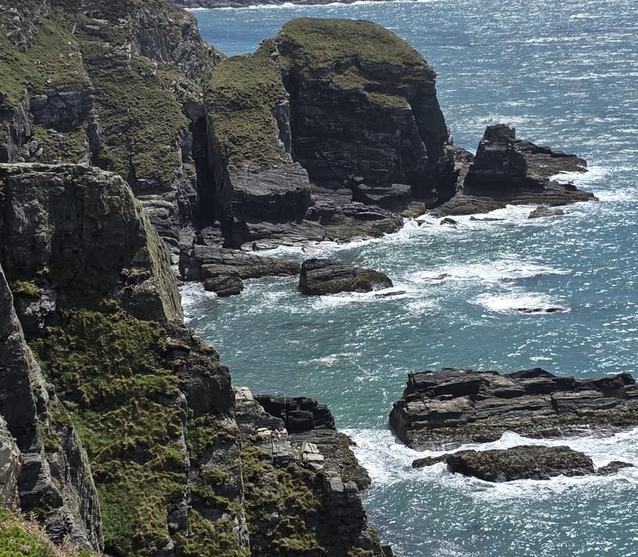 South Stack Cliffs RSPB Reserve-Holyhead必去景点