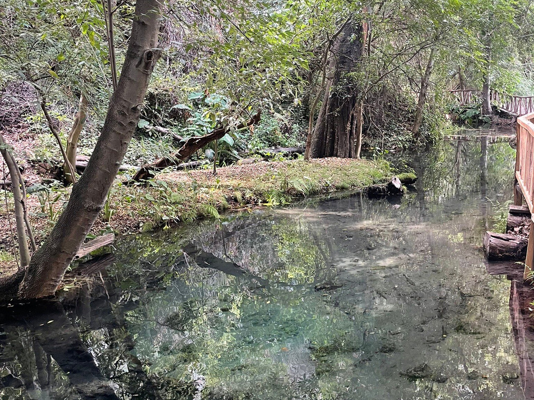 Ex-Hacienda de Chautla-San Martin Texmelucan de Labastida必去景点