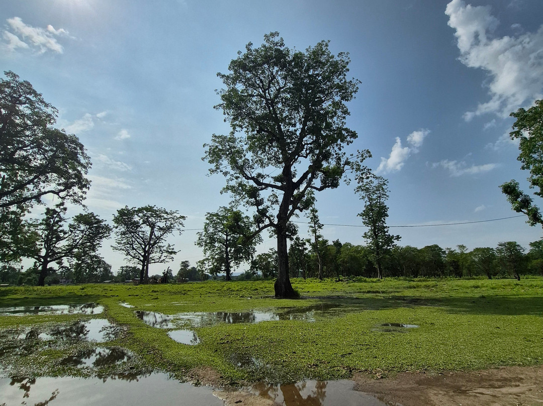 Jungle Nepal Adventure-Thakudwara必去景点