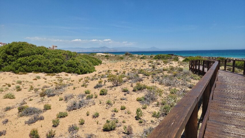 Platja Del Carabassí-埃尔切必去景点