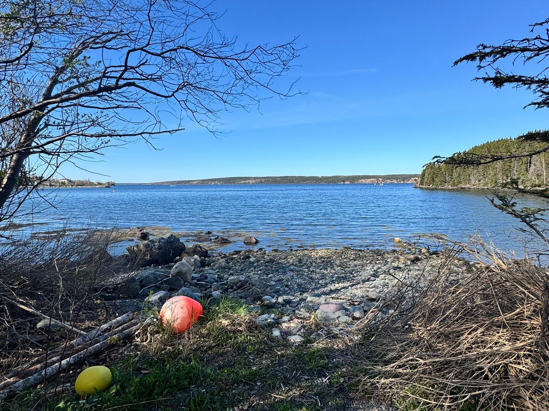 Gypsy Sea Adventures-Clarenville必去景点
