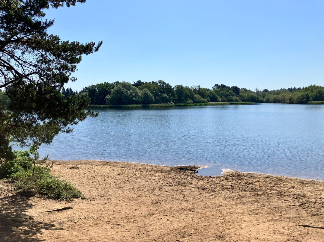 Frensham Little Pond-Frensham必去景点