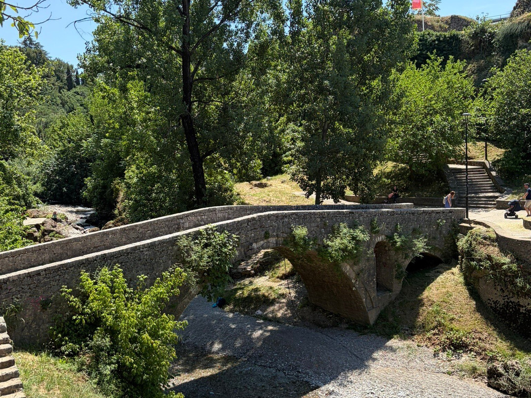 Ribnica Bridge (Most na Ribnici)-波德戈里察必去景点