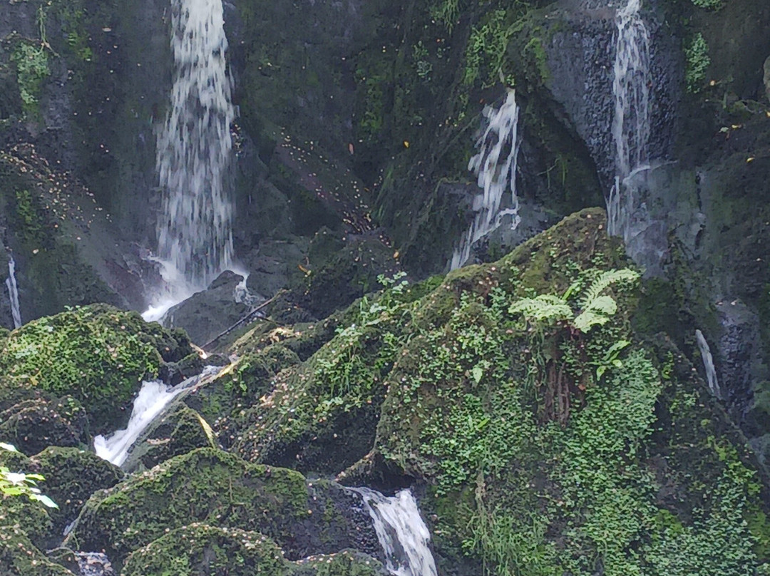 Crawfordsburn Country Park-班戈必去景点