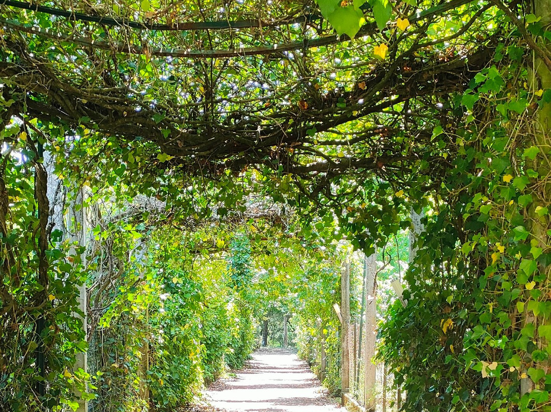 Convento di San Cosimato-Vicovaro必去景点