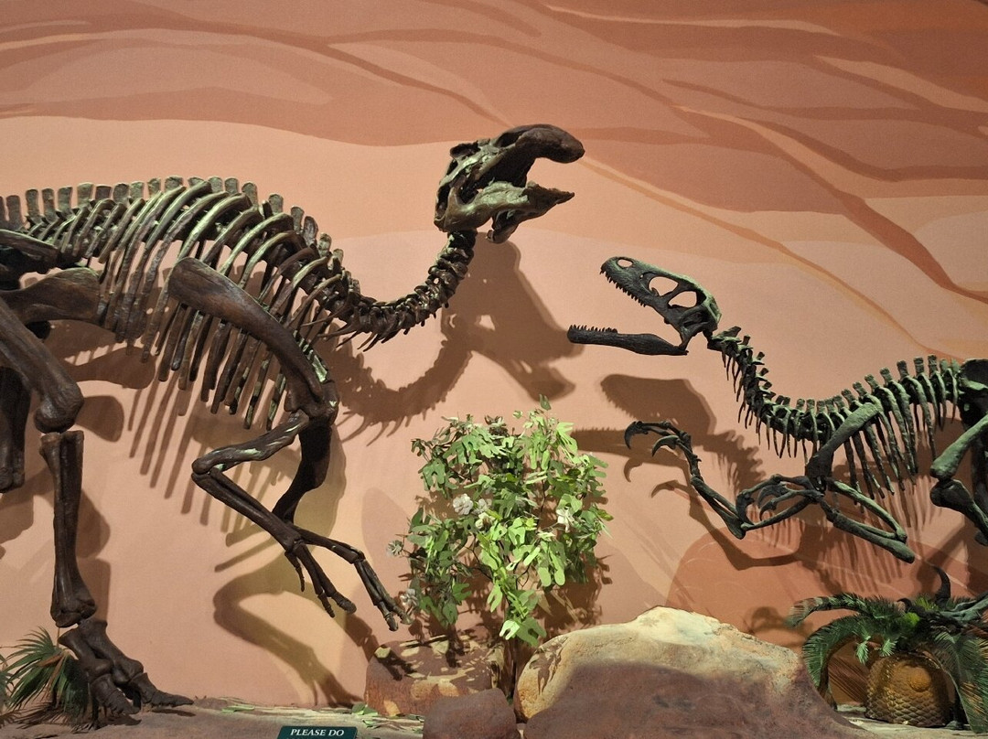 Mountain America Museum of Ancient Life-李海必去景点