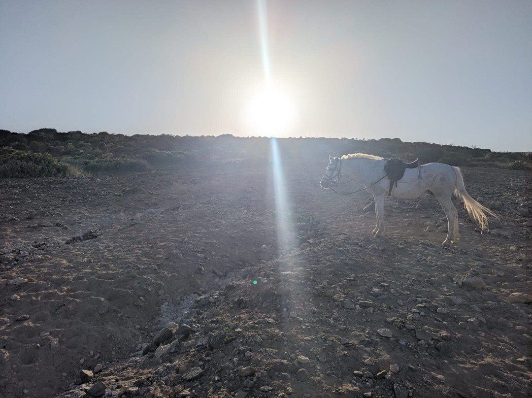 El Salobre Horse Riding-马斯帕洛马斯必去景点