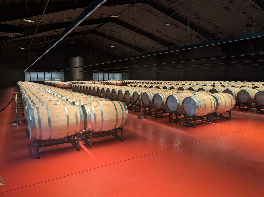 Caymus Vineyards-拉瑟福德必去景点
