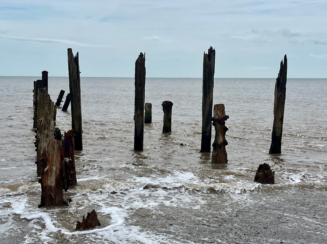 Spurn Bird Observatory-Kilnsea必去景点