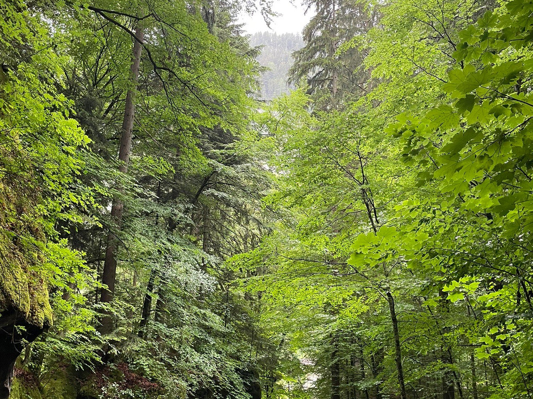 Nature Park Blausee-Blausee-Mitholz必去景点