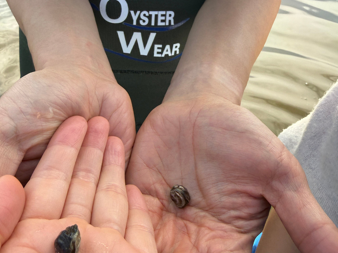 Oyster Bay Tours-科尔斯湾必去景点