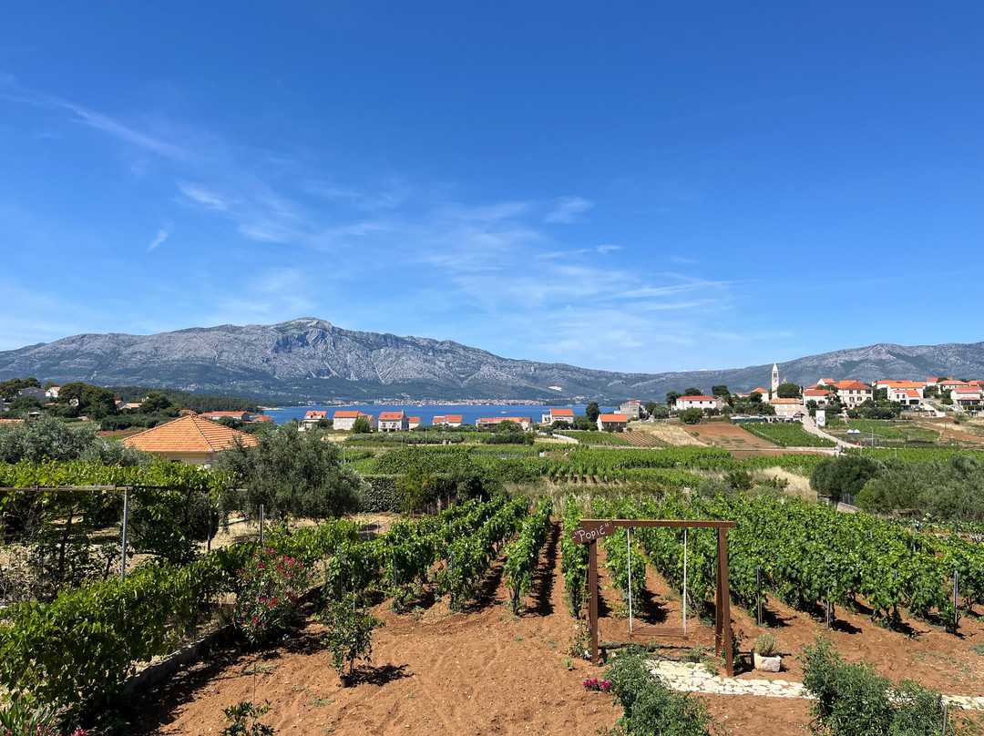 Popic Winery Lumbarda-伦巴达必去景点
