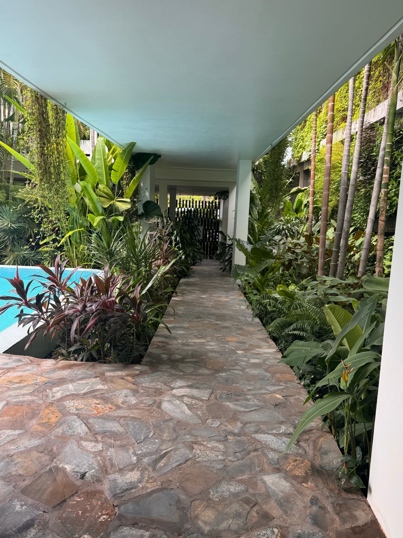 维鲁斯酒店-旅行者