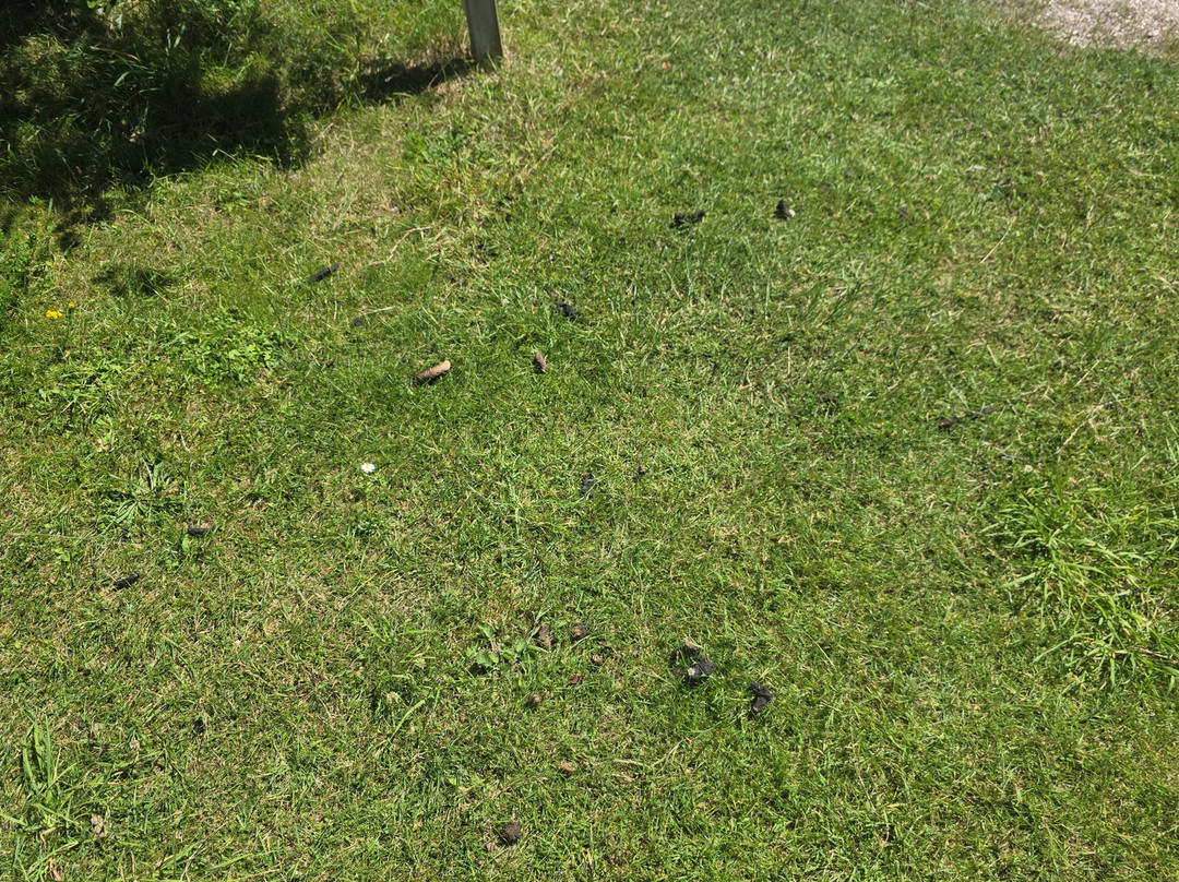 Villages Nature Paris-巴伊罗曼维列必去景点