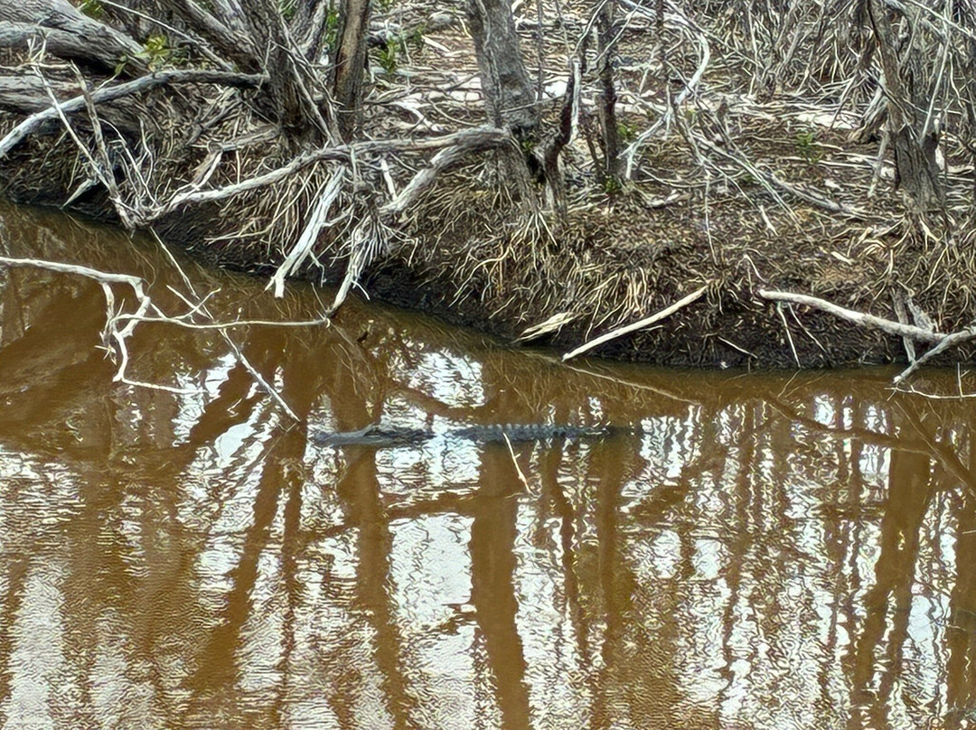 J.N. "Ding" Darling National Wildlife Refuge-萨尼贝尔岛必去景点