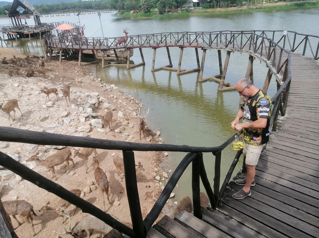 Nong Yai Tang Chang Public Park-春蓬必去景点